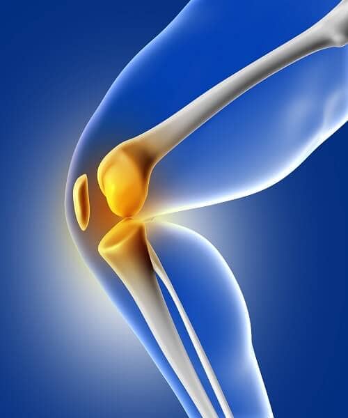 Limpieza Articular De Rodilla Artroscópica